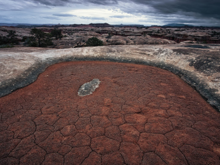 POTD: Awaiting The Rain