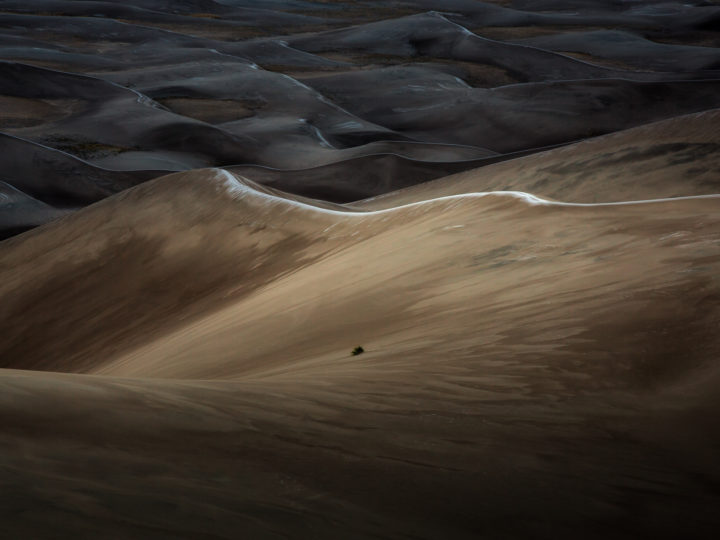 POTD: Fields of Grains