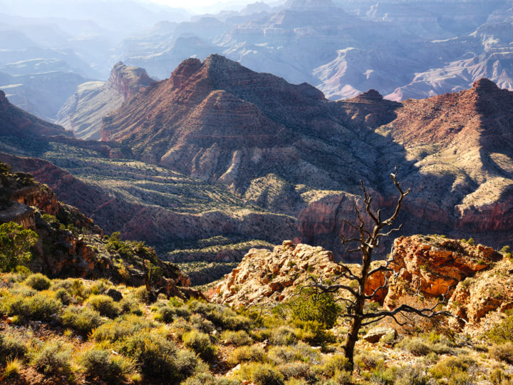 POTD: Grandest of Canyons