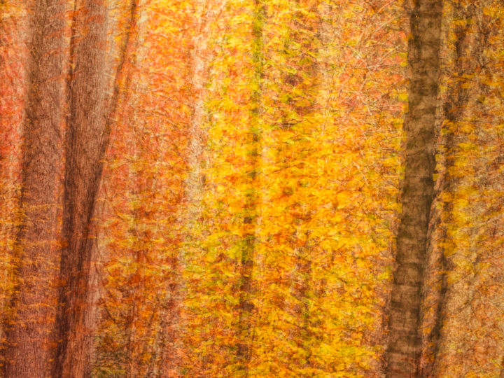 POTD: Intervals