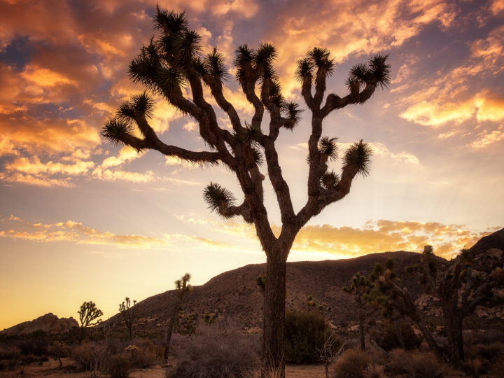 POTD: Morning Stretch