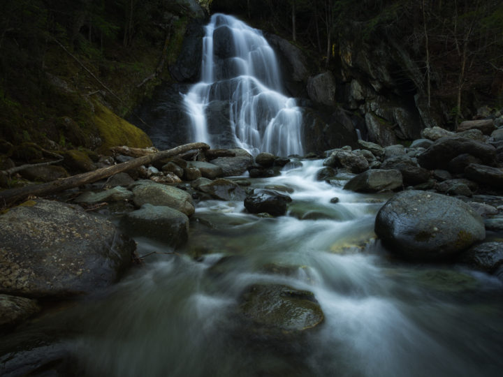 POTD: Moss Glen