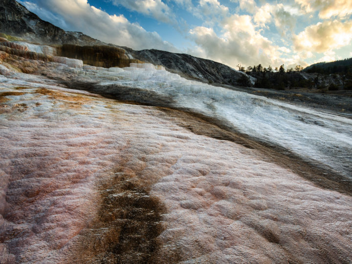 POTD: Pastel Fountains