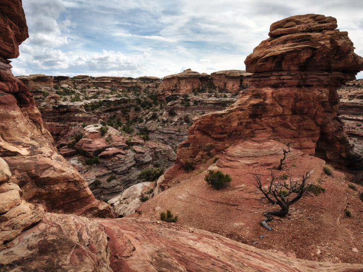 POTD: Rock Maze