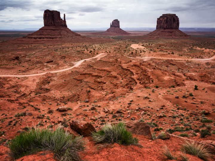 POTD: Barren Mittens