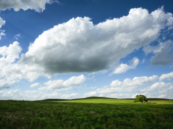 POTD: Touch the Clouds