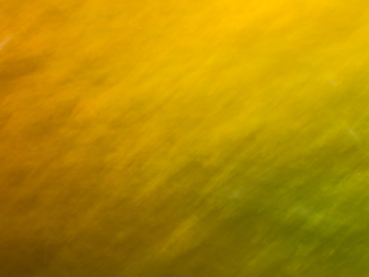 POTD: Foliage Flutter