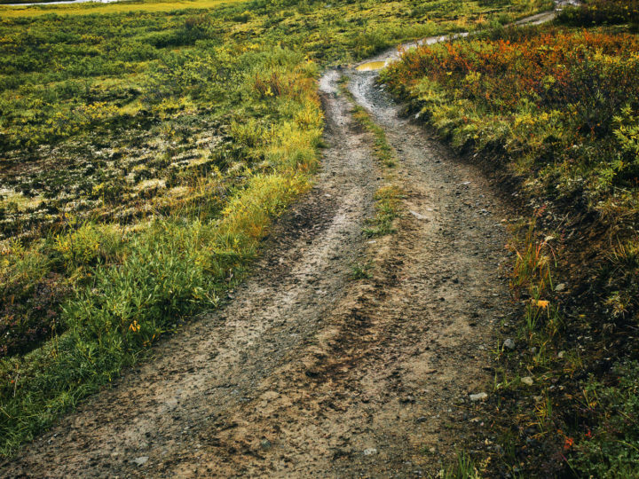 POTD: Wandering Roads